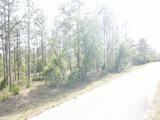 Lot 20 NW SHAMROCK AVENUE, Dunnellon, FL 34431