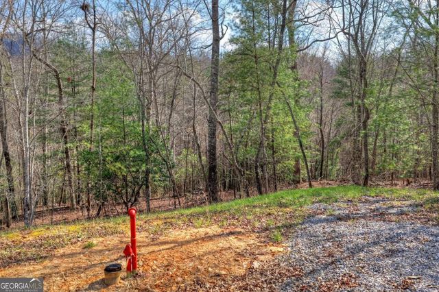 LT 13 Rocky Ridge, Mineral Bluff, GA 30559