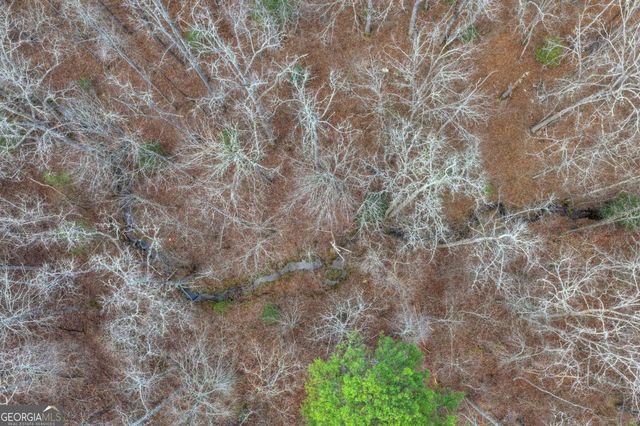 LT 13 Rocky Ridge, Mineral Bluff, GA 30559