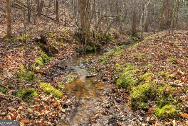 LT 13 Rocky Ridge, Mineral Bluff, GA 30559