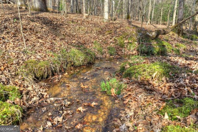 LT 13 Rocky Ridge, Mineral Bluff, GA 30559
