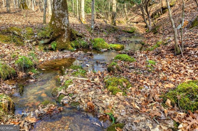 LT 13 Rocky Ridge, Mineral Bluff, GA 30559