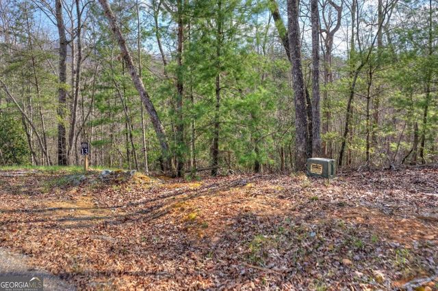 LT 13 Rocky Ridge, Mineral Bluff, GA 30559