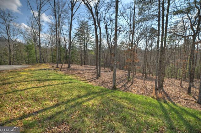 LT 13 Rocky Ridge, Mineral Bluff, GA 30559
