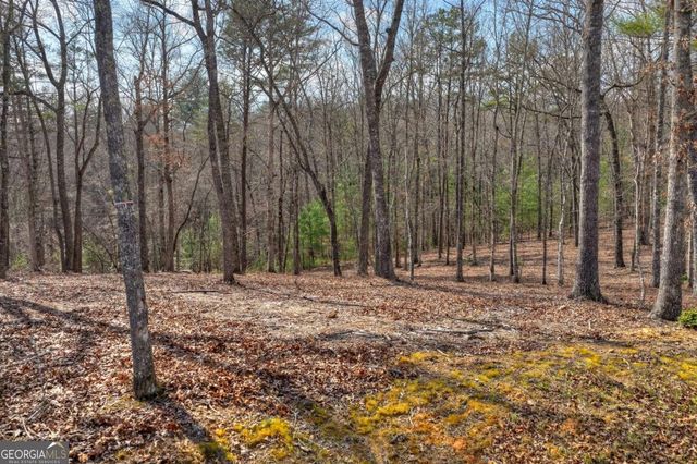 LT 13 Rocky Ridge, Mineral Bluff, GA 30559