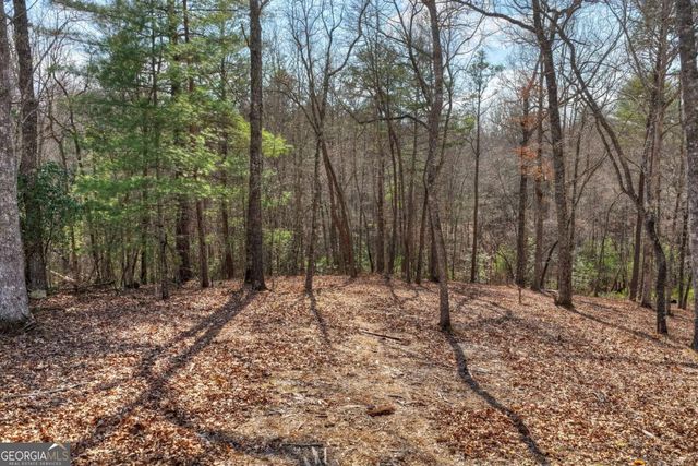 LT 13 Rocky Ridge, Mineral Bluff, GA 30559