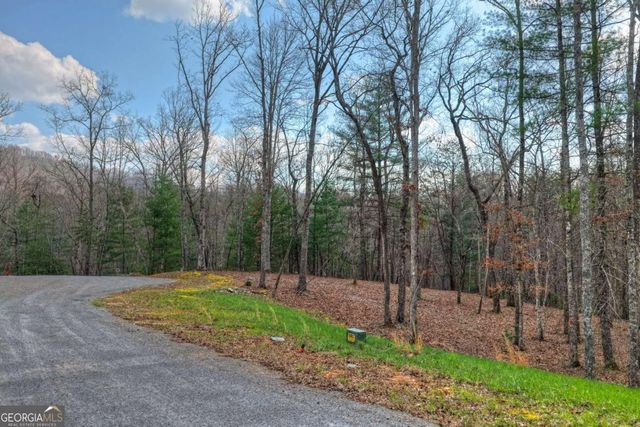 LT 13 Rocky Ridge, Mineral Bluff, GA 30559
