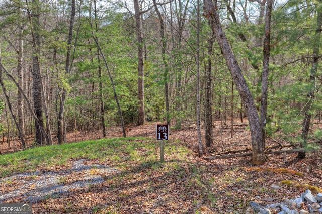 LT 13 Rocky Ridge, Mineral Bluff, GA 30559