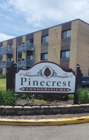 668 Pinecrest Drive 204, Prospect Heights, IL 60070