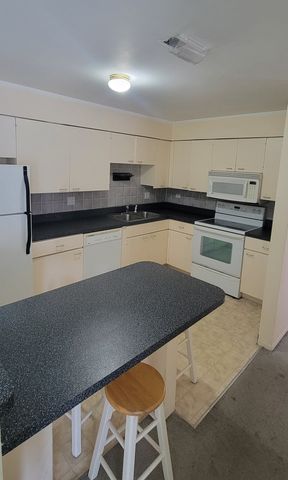668 Pinecrest Drive 204, Prospect Heights, IL 60070