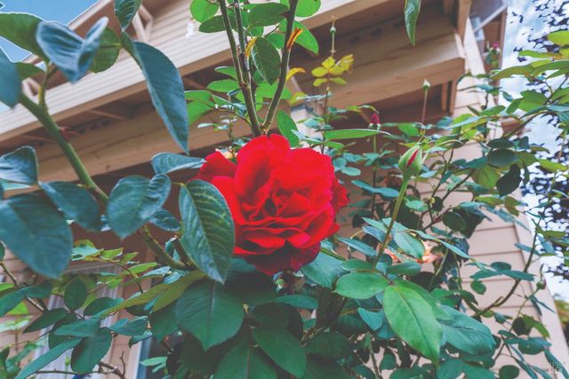 12 Alana Way, Cloverdale, CA 95425