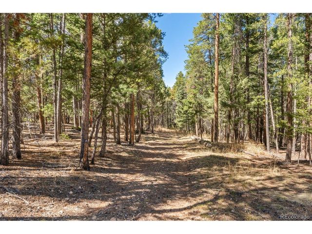 23550 Pleasant Park Rd, Conifer, CO 80433