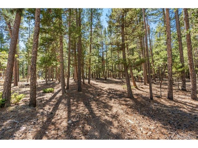 23550 Pleasant Park Rd, Conifer, CO 80433