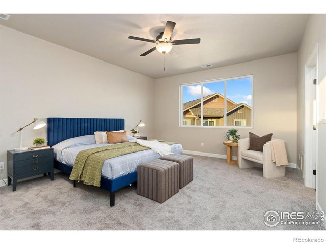 7578 Little Fox Lane, Wellington, CO 80549