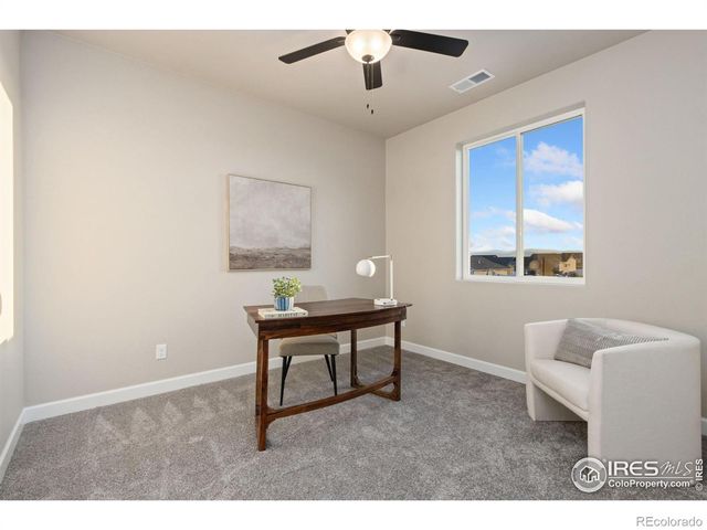 7578 Little Fox Lane, Wellington, CO 80549