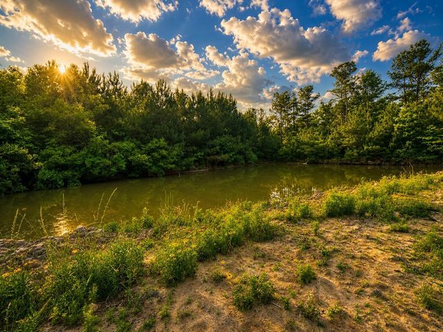 00 Fish Road, Ridgeville, SC 29472