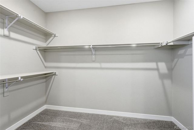 6167 N Dallas Way, Denver, CO 80238