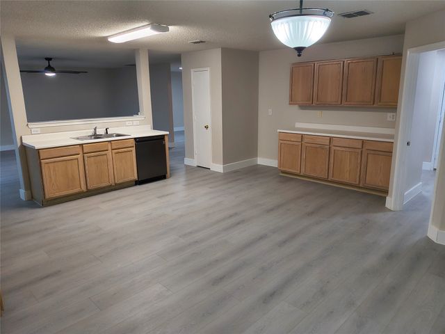 2524 Brinlee Branch Lane, Mckinney, TX 75071