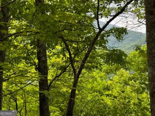 #6 Pounding Mill Overlook, Hayesville, NC 28904