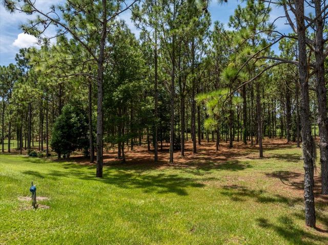 5208 EFFIE DRIVE, Apopka, FL 32712