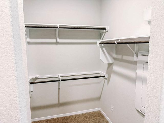 2707 Towy RD, Pflugerville, TX 78660