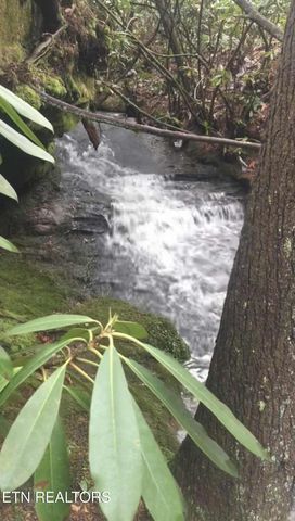 232 Victoria Circle, Jamestown, TN 38556