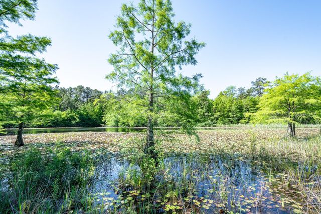 1331-A Mccaleb Road, Montgomery, TX 77316