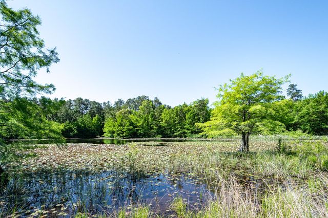 1331-A Mccaleb Road, Montgomery, TX 77316