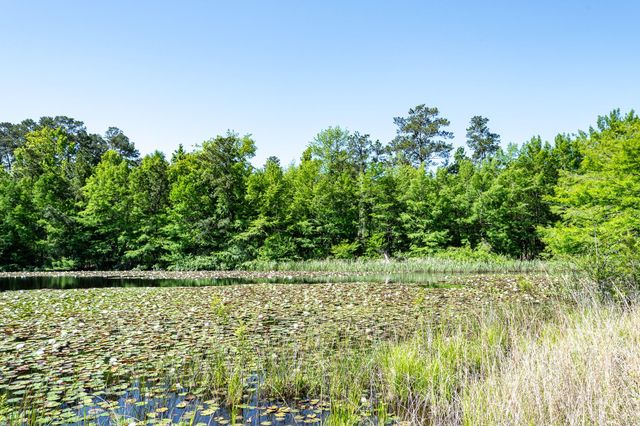 1331-A Mccaleb Road, Montgomery, TX 77316