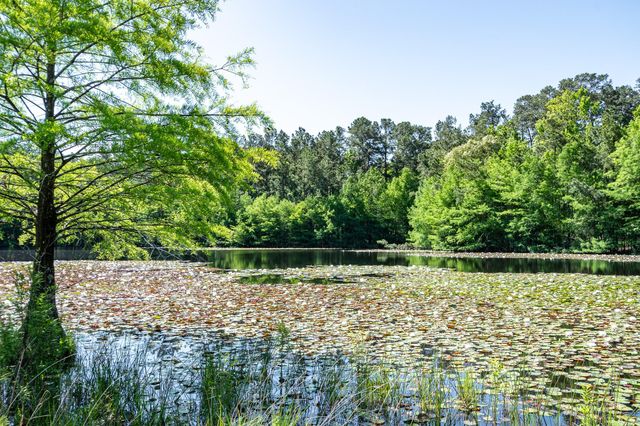 1331-A Mccaleb Road, Montgomery, TX 77316