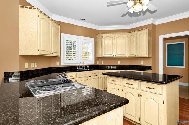 2642 College Street, Courtland, AL 35618