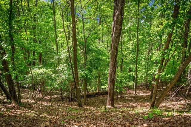 Lot 8 Ada Ridge Road, Mineral Bluff, GA 30559