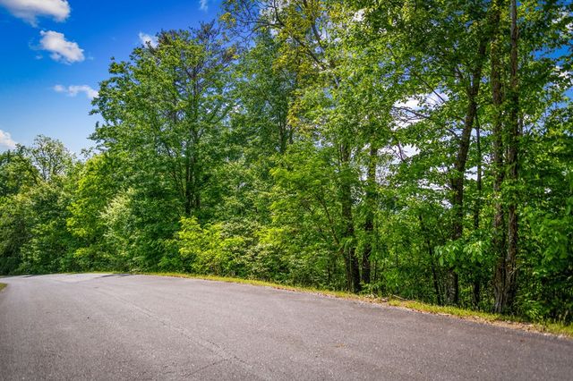 Lot 8 Ada Ridge Road, Mineral Bluff, GA 30559