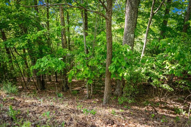 Lot 8 Ada Ridge Road, Mineral Bluff, GA 30559