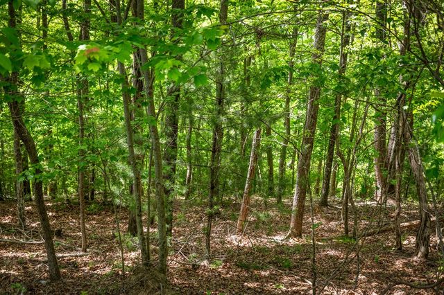 Lot 8 Ada Ridge Road, Mineral Bluff, GA 30559