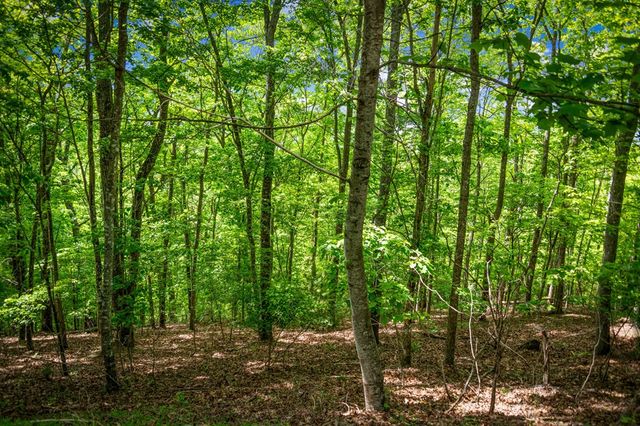 Lot 8 Ada Ridge Road, Mineral Bluff, GA 30559