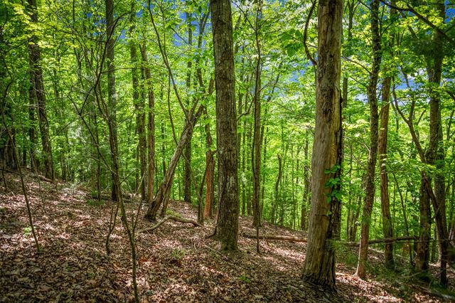 Lot 8 Ada Ridge Road, Mineral Bluff, GA 30559