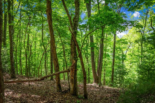 Lot 8 Ada Ridge Road, Mineral Bluff, GA 30559