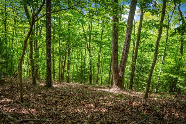 Lot 8 Ada Ridge Road, Mineral Bluff, GA 30559