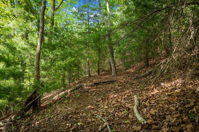 Lot 8 Ada Ridge Road, Mineral Bluff, GA 30559