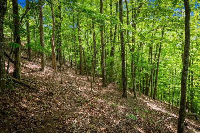 Lot 8 Ada Ridge Road, Mineral Bluff, GA 30559