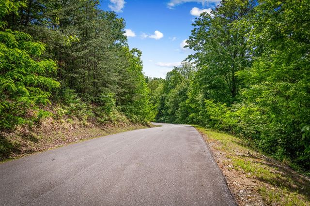 Lot 8 Ada Ridge Road, Mineral Bluff, GA 30559