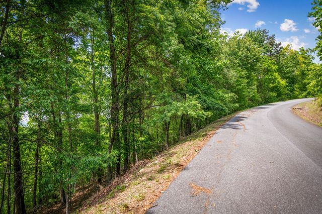 Lot 8 Ada Ridge Road, Mineral Bluff, GA 30559