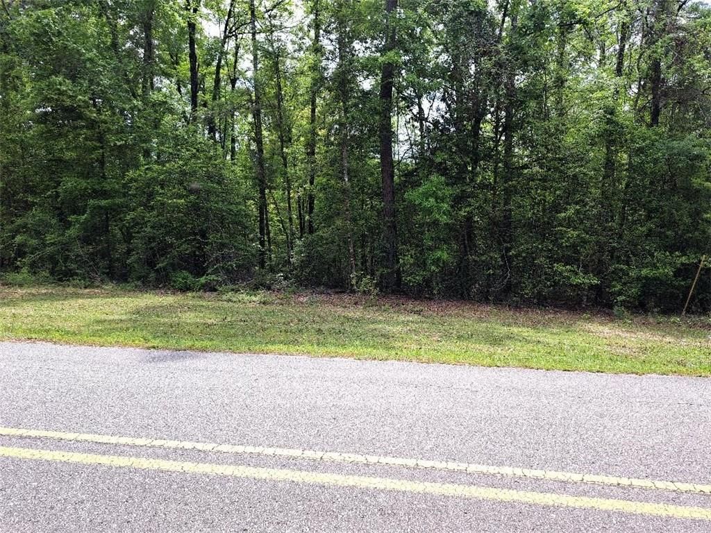 0 Beverly Jeffries Highway, Citronelle, AL 36522 — photo 2