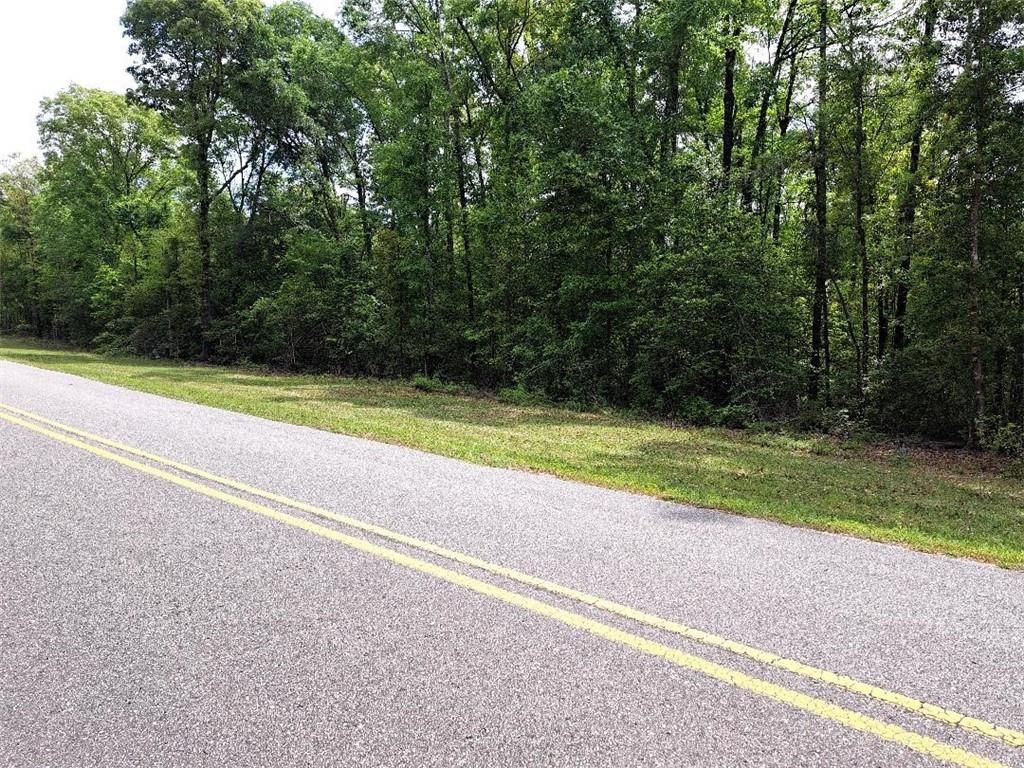 0 Beverly Jeffries Highway, Citronelle, AL 36522 — photo 3