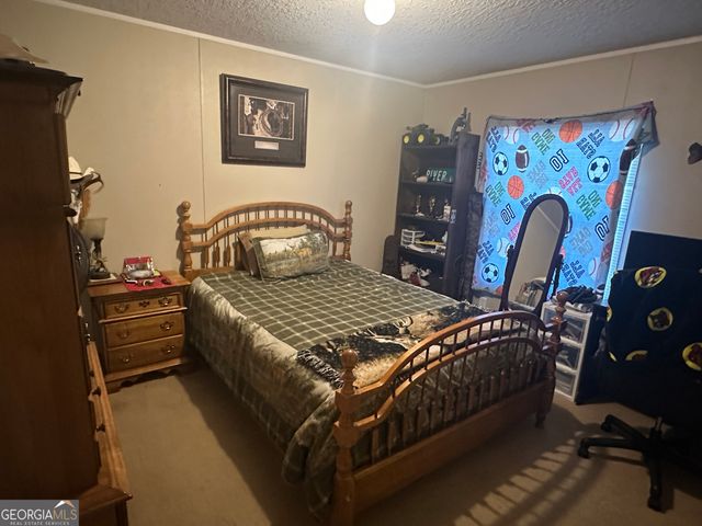 208 Oak Grove Lane, Sylvania, GA 30467