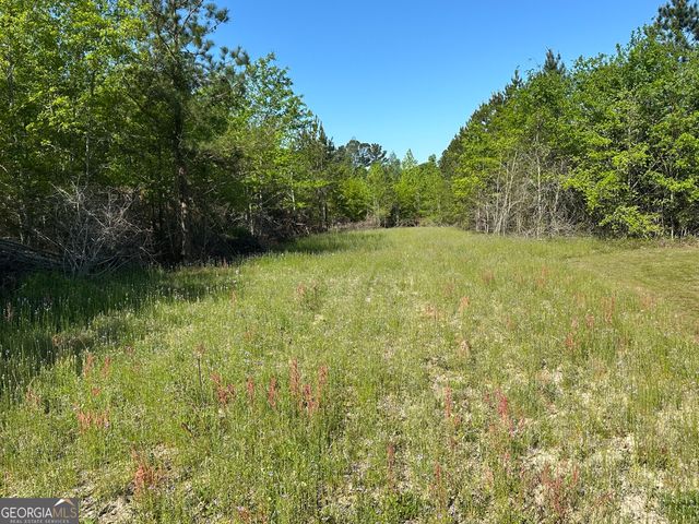 208 Oak Grove Lane, Sylvania, GA 30467