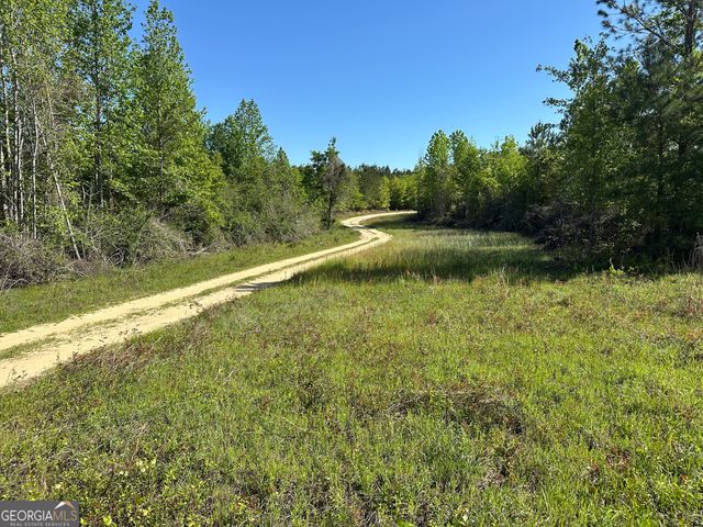 208 Oak Grove Lane, Sylvania, GA 30467