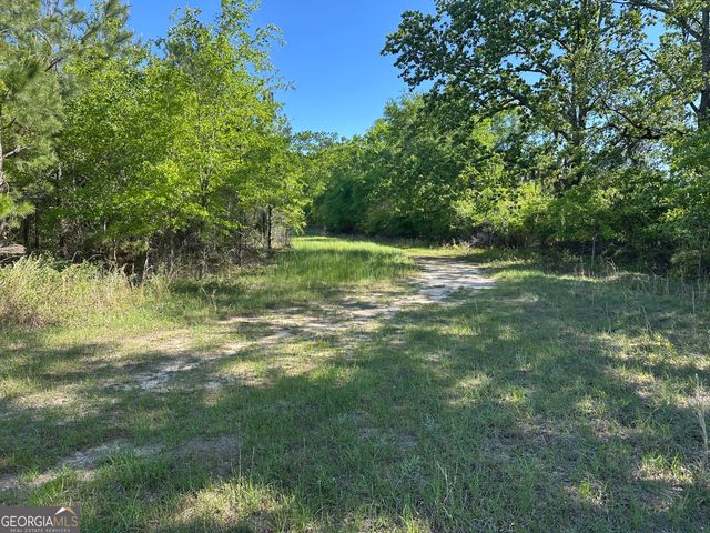 208 Oak Grove Lane, Sylvania, GA 30467