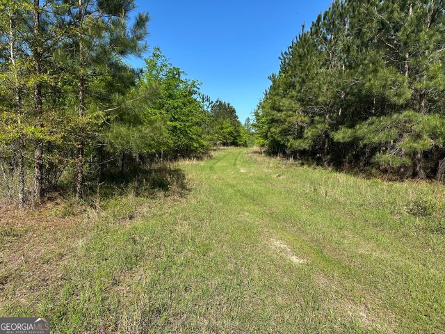 208 Oak Grove Lane, Sylvania, GA 30467